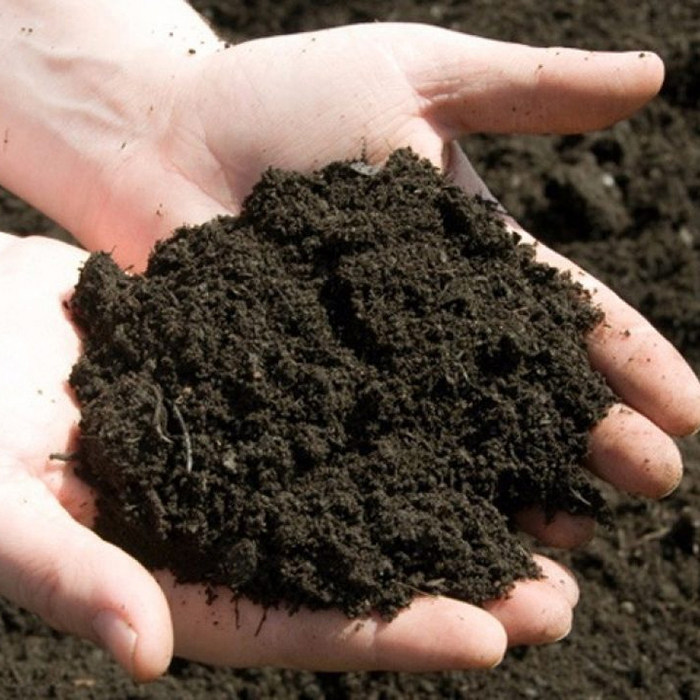 کود ورمی کمپوست گیلدا مدل V1 وزن 1 کیلوگرم کود ورمی کمپوست گیلدا مدل V1 وزن 1 کیلوگرم