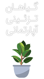 انواع محصولات و خدمات گیاهان آپارتمانی