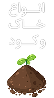 انواع محصولات و خدمات گیاهان آپارتمانی