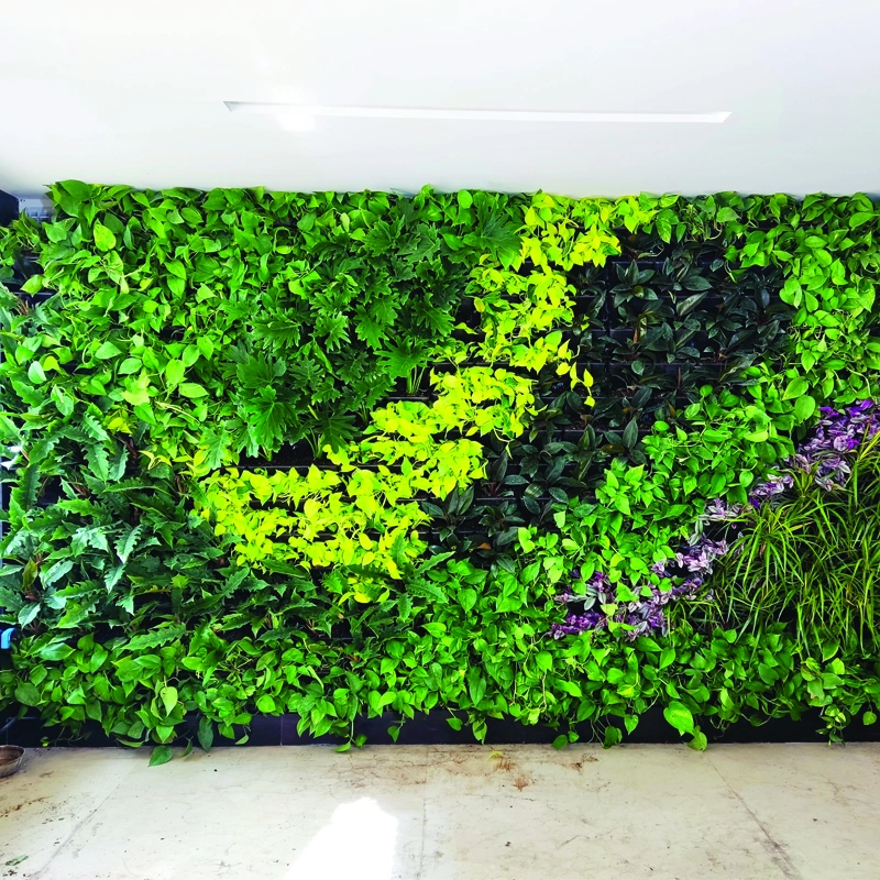 دیوار سبز با پوشش گیاهی (وال گاردن) نمونه کار دیوار سبز با پوشش گیاهی (وال گاردن)