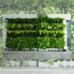 دیوار سبز با پوشش گیاهی (وال گاردن)