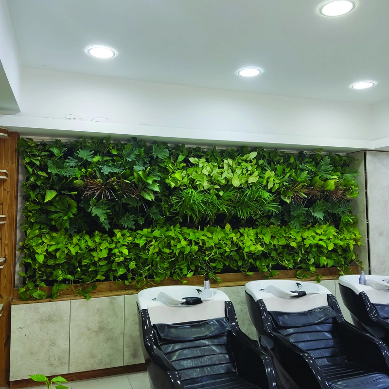دیوار سبز با پوشش گیاهی (وال گاردن) دیوار سبز با پوشش گیاهی (وال گاردن) در سالن زیبایی