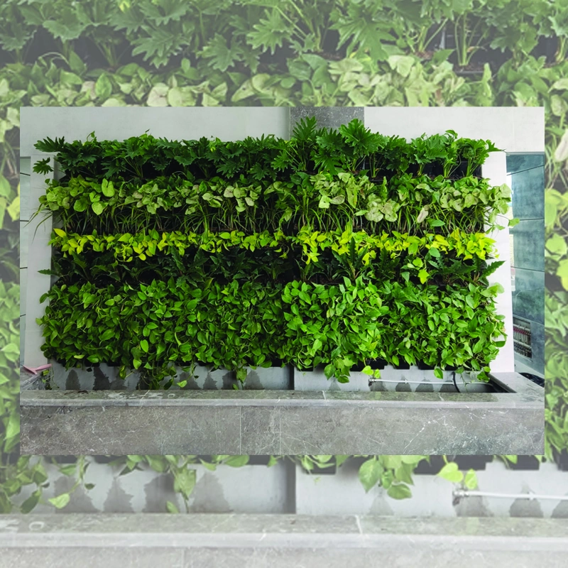 دیوار سبز با پوشش گیاهی (وال گاردن) دیوار سبز با پوشش گیاهی (وال گاردن)